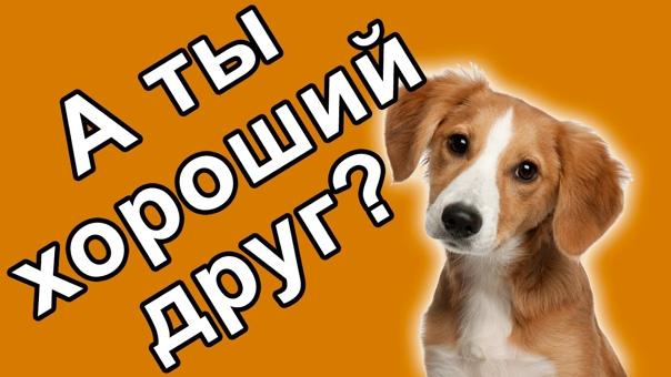 Картинка к тесту - Какой ты друг? - тест на тип друга